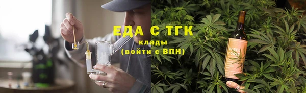 индика Арсеньев