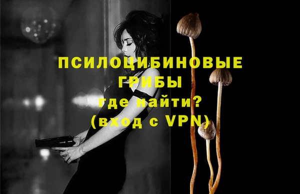 а пвп мука Аркадак